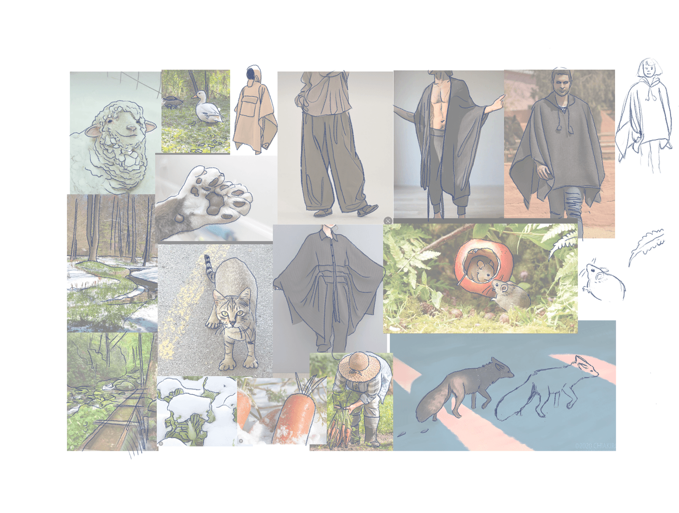 photo aug 22 2024 3 36 35 am 2 1 